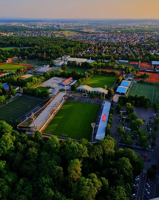 從魯尼的自 從魯尼的自