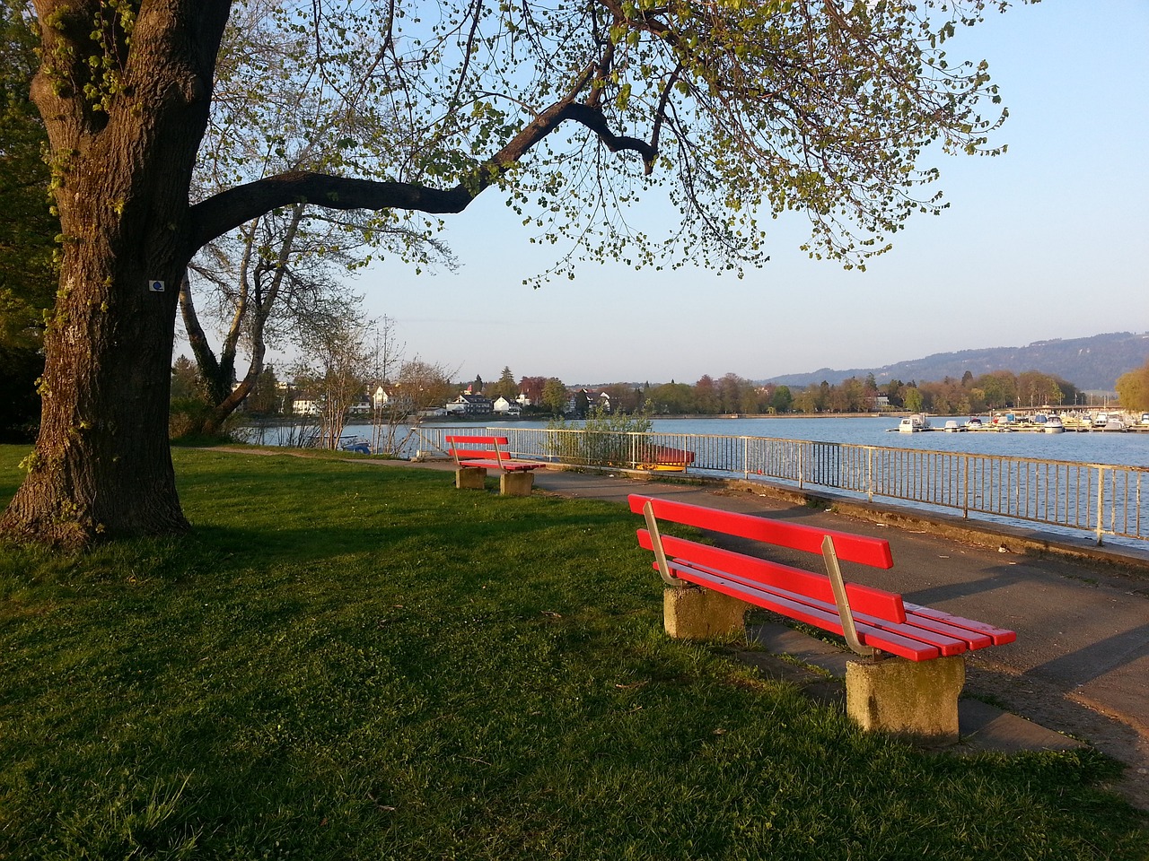 伊戈达拉的 伊戈达拉的